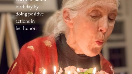 Today is Jane's 91st Birthday!