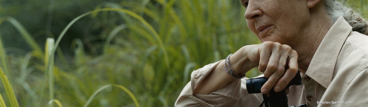 Dr. Jane Goodall in Gombe National Park, Tanzania 