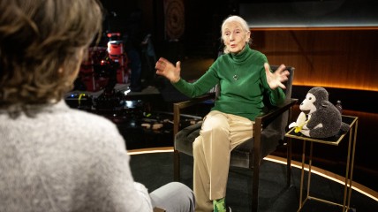 Netflix rend hommage à Jane Goodall en diffusant à titre posthume la série documentaire « Famous Last Words » après son décès.