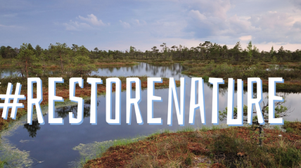 La loi sur la restauration de la nature est scellée au Parlement européen