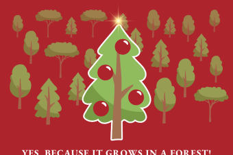 Visuals christmas packages .png