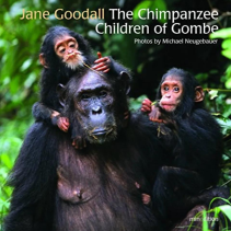 The Chimpanzee Children of Gombe