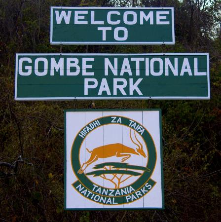 gombe-national-park-goodall-institute