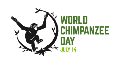 world chimp day logo